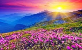 Valley of Flowers