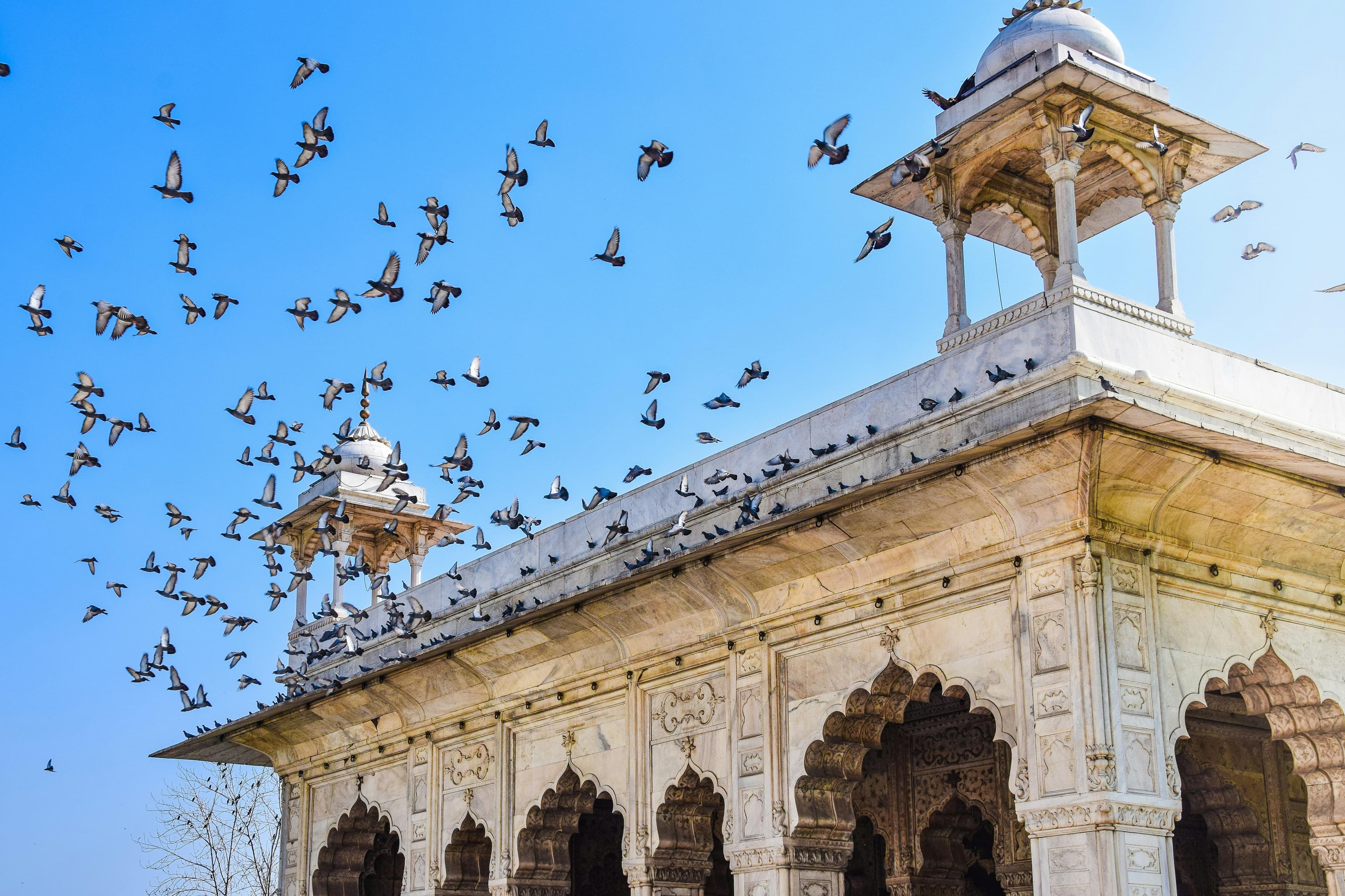 Old Delhi